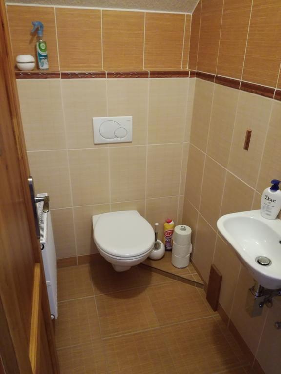 Apartman U Kovaru Kasperske Hory Εξωτερικό φωτογραφία